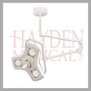 QALED070SC